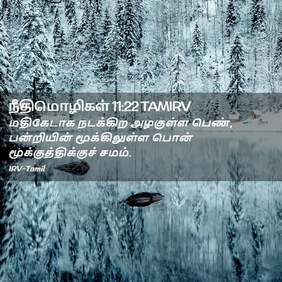 Picture 02 - நீதிமொழிகள் 11:22 TAMIRV - மதிகேடாக நடக்கிற - Bible Verse Picture