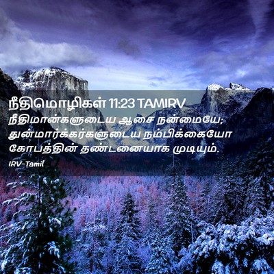 Picture 02 - நீதிமொழிகள் 11:23 TAMIRV - நீதிமான்களுடைய - Bible Verse Picture
