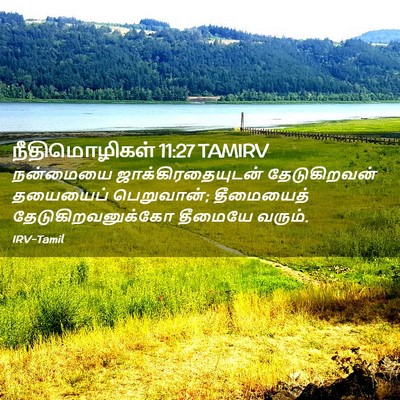 Picture 02 - நீதிமொழிகள் 11:27 TAMIRV - நன்மையை - Bible Verse Picture