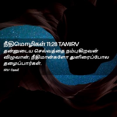 Picture 02 - நீதிமொழிகள் 11:28 TAMIRV - தன்னுடைய - Bible Verse Picture