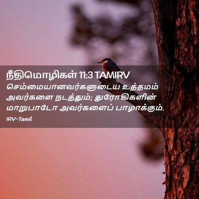 Picture 02 - நீதிமொழிகள் 11:3 TAMIRV -  - Bible Verse Picture