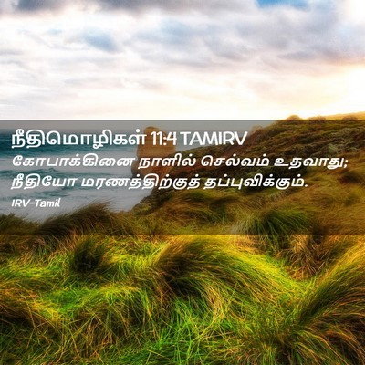 Picture 02 - நீதிமொழிகள் 11:4 TAMIRV - கோபாக்கினை நாளில் - Bible Verse Picture