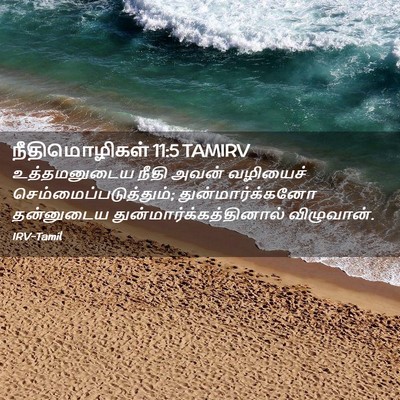 Picture 02 - நீதிமொழிகள் 11:5 TAMIRV - உத்தமனுடைய நீதி - Bible Verse Picture