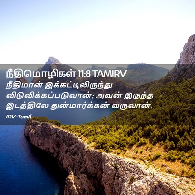 Picture 02 - நீதிமொழிகள் 11:8 TAMIRV - நீதிமான் - Bible Verse Picture