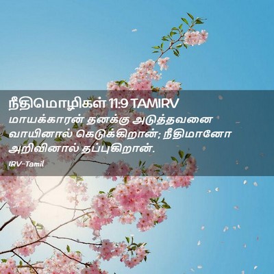 Picture 02 - நீதிமொழிகள் 11:9 TAMIRV - மாயக்காரன் தனக்கு - Bible Verse Picture