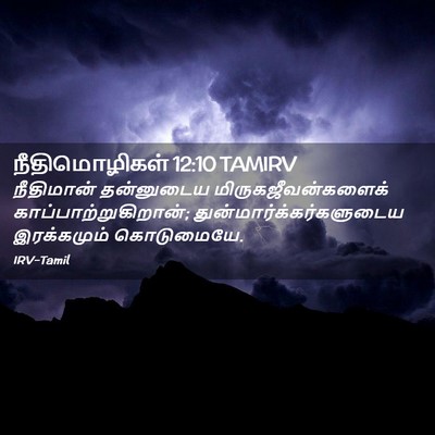 Picture 02 - நீதிமொழிகள் 12:10 TAMIRV - நீதிமான் தன்னுடைய - Bible Verse Picture
