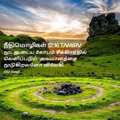 Picture 02 - நீதிமொழிகள் 12:16 TAMIRV - மூடனுடைய கோபம் - Bible Verse Picture