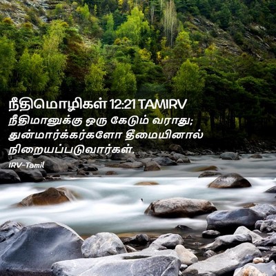 Picture 02 - நீதிமொழிகள் 12:21 TAMIRV - நீதிமானுக்கு ஒரு - Bible Verse Picture