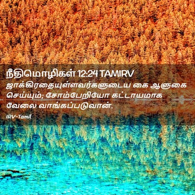 Picture 02 - நீதிமொழிகள் 12:24 TAMIRV -  - Bible Verse Picture