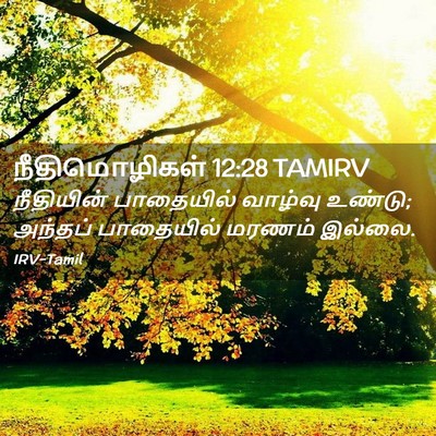 Picture 02 - நீதிமொழிகள் 12:28 TAMIRV - நீதியின் பாதையில் - Bible Verse Picture