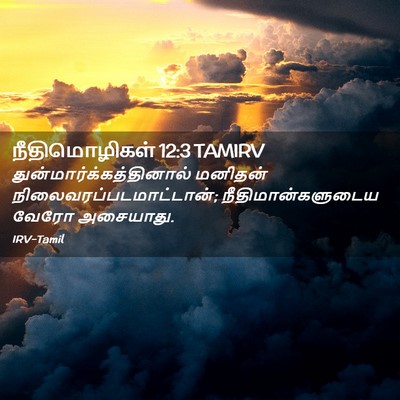 Picture 02 - நீதிமொழிகள் 12:3 TAMIRV -  - Bible Verse Picture