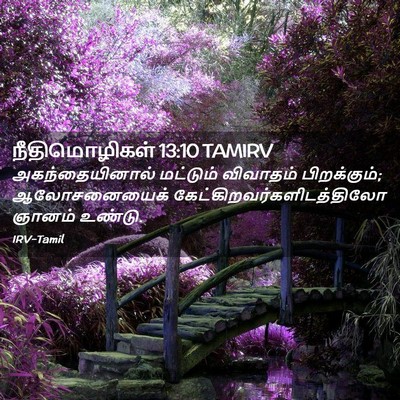 Picture 02 - நீதிமொழிகள் 13:10 TAMIRV - அகந்தையினால் - Bible Verse Picture