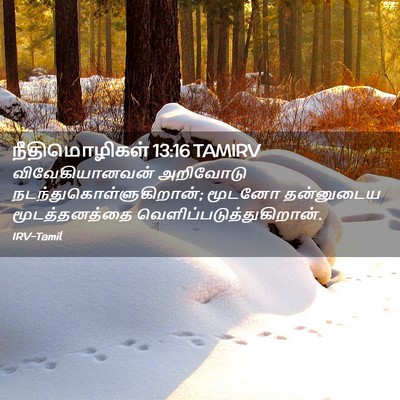 Picture 02 - நீதிமொழிகள் 13:16 TAMIRV - விவேகியானவன் - Bible Verse Picture