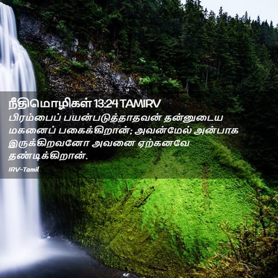 Picture 02 - நீதிமொழிகள் 13:24 TAMIRV - பிரம்பைப் - Bible Verse Picture