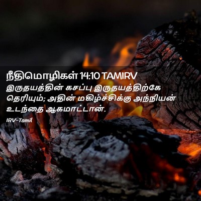 Picture 02 - நீதிமொழிகள் 14:10 TAMIRV - இருதயத்தின் - Bible Verse Picture