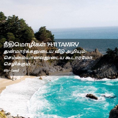 Picture 02 - நீதிமொழிகள் 14:11 TAMIRV - துன்மார்க்கனுடைய - Bible Verse Picture