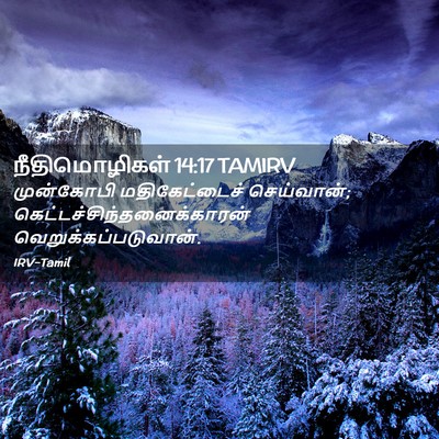 Picture 02 - நீதிமொழிகள் 14:17 TAMIRV - முன்கோபி - Bible Verse Picture