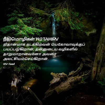 Picture 02 - நீதிமொழிகள் 14:2 TAMIRV - நிதானமாக - Bible Verse Picture