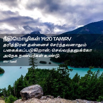 Picture 02 - நீதிமொழிகள் 14:20 TAMIRV - தரித்திரன் - Bible Verse Picture