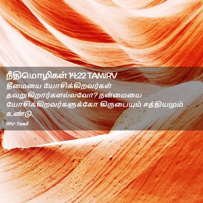 Picture 02 - நீதிமொழிகள் 14:22 TAMIRV - தீமையை - Bible Verse Picture