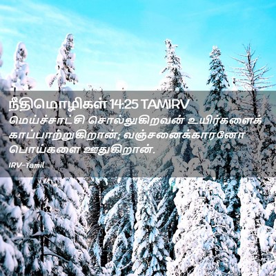 Picture 02 - நீதிமொழிகள் 14:25 TAMIRV - மெய்ச்சாட்சி - Bible Verse Picture