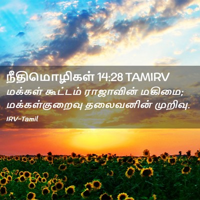 Picture 02 - நீதிமொழிகள் 14:28 TAMIRV - மக்கள் கூட்டம் - Bible Verse Picture