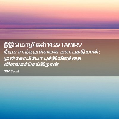Picture 02 - நீதிமொழிகள் 14:29 TAMIRV - நீடிய - Bible Verse Picture