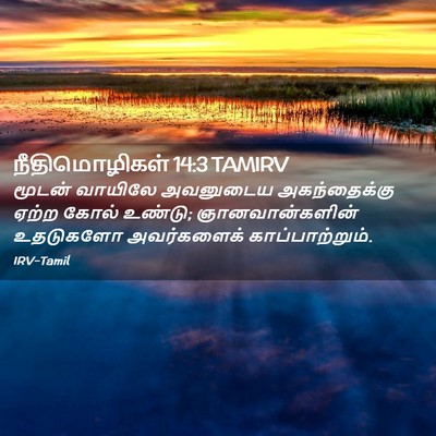 Picture 02 - நீதிமொழிகள் 14:3 TAMIRV - மூடன் வாயிலே - Bible Verse Picture