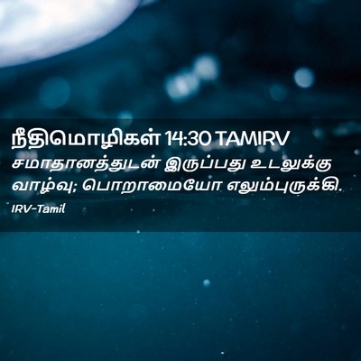 Picture 02 - நீதிமொழிகள் 14:30 TAMIRV - சமாதானத்துடன் - Bible Verse Picture