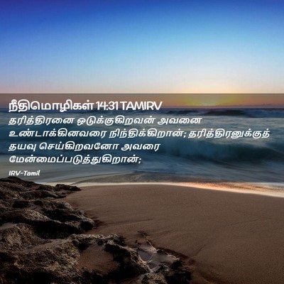 Picture 02 - நீதிமொழிகள் 14:31 TAMIRV - தரித்திரனை - Bible Verse Picture