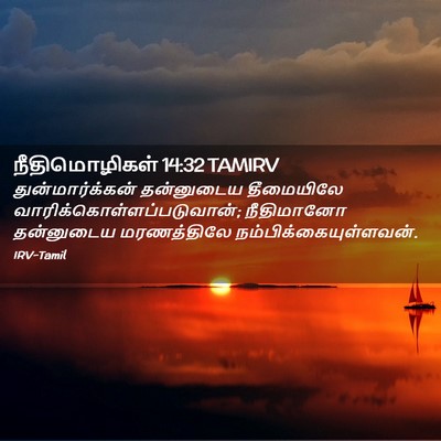Picture 02 - நீதிமொழிகள் 14:32 TAMIRV - துன்மார்க்கன் - Bible Verse Picture