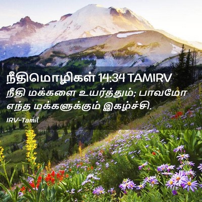 Picture 02 - நீதிமொழிகள் 14:34 TAMIRV - நீதி மக்களை - Bible Verse Picture