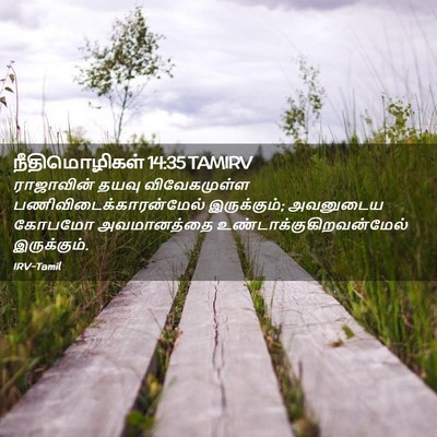 Picture 02 - நீதிமொழிகள் 14:35 TAMIRV - ராஜாவின் தயவு - Bible Verse Picture