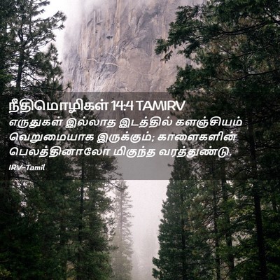 Picture 02 - நீதிமொழிகள் 14:4 TAMIRV - எருதுகள் இல்லாத - Bible Verse Picture