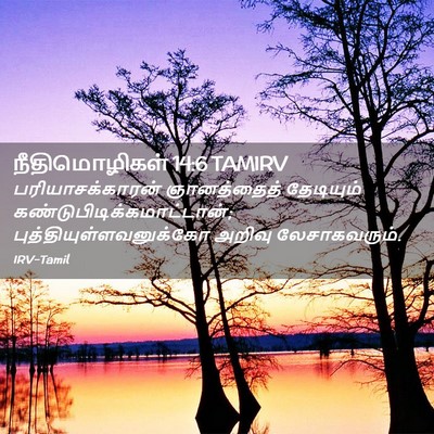 Picture 02 - நீதிமொழிகள் 14:6 TAMIRV - பரியாசக்காரன் - Bible Verse Picture
