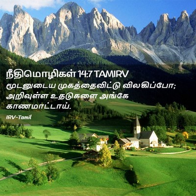 Picture 02 - நீதிமொழிகள் 14:7 TAMIRV - மூடனுடைய - Bible Verse Picture
