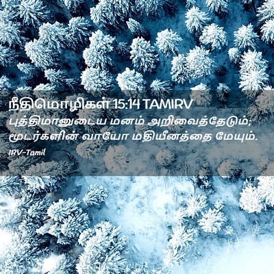Picture 02 - நீதிமொழிகள் 15:14 TAMIRV - புத்திமானுடைய - Bible Verse Picture