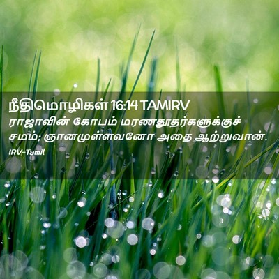 Picture 02 - நீதிமொழிகள் 16:14 TAMIRV - ராஜாவின் கோபம் - Bible Verse Picture