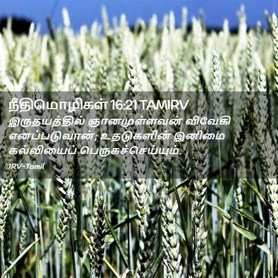 Picture 02 - நீதிமொழிகள் 16:21 TAMIRV - இருதயத்தில் - Bible Verse Picture