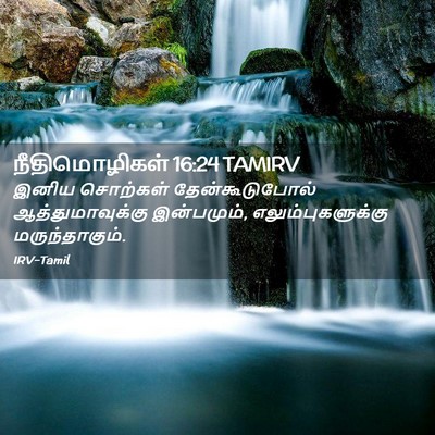 Picture 02 - நீதிமொழிகள் 16:24 TAMIRV - இனிய சொற்கள் - Bible Verse Picture