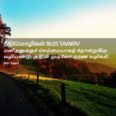 Picture 02 - நீதிமொழிகள் 16:25 TAMIRV - மனிதனுக்குச் - Bible Verse Picture
