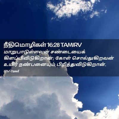 Picture 02 - நீதிமொழிகள் 16:28 TAMIRV - மாறுபாடுள்ளவன் - Bible Verse Picture