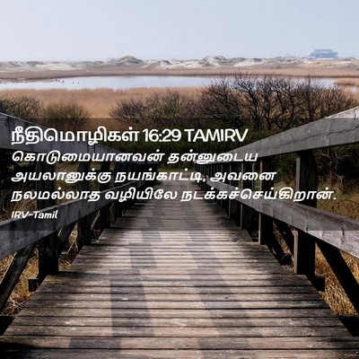 Picture 02 - நீதிமொழிகள் 16:29 TAMIRV - கொடுமையானவன் - Bible Verse Picture