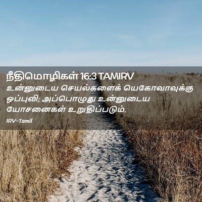 Picture 02 - நீதிமொழிகள் 16:3 TAMIRV - உன்னுடைய - Bible Verse Picture