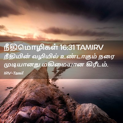 Picture 02 - நீதிமொழிகள் 16:31 TAMIRV - நீதியின் வழியில் - Bible Verse Picture