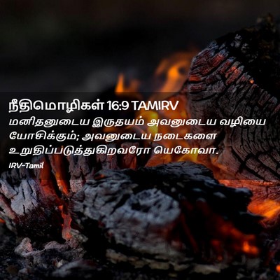Picture 02 - நீதிமொழிகள் 16:9 TAMIRV - மனிதனுடைய இருதயம் - Bible Verse Picture