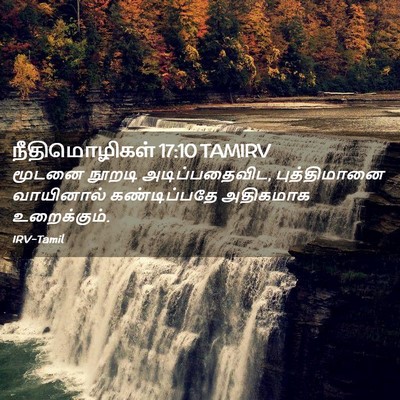 Picture 02 - நீதிமொழிகள் 17:10 TAMIRV - மூடனை நூறடி - Bible Verse Picture