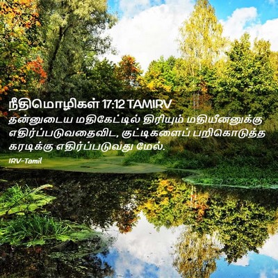 Picture 02 - நீதிமொழிகள் 17:12 TAMIRV - தன்னுடைய - Bible Verse Picture