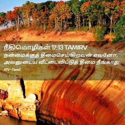 Picture 02 - நீதிமொழிகள் 17:13 TAMIRV - நன்மைக்குத் - Bible Verse Picture