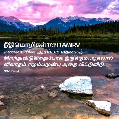 Picture 02 - நீதிமொழிகள் 17:14 TAMIRV - சண்டையின் ஆரம்பம் - Bible Verse Picture